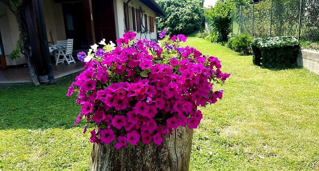 B&B Margot Albavilla Buitenkant foto